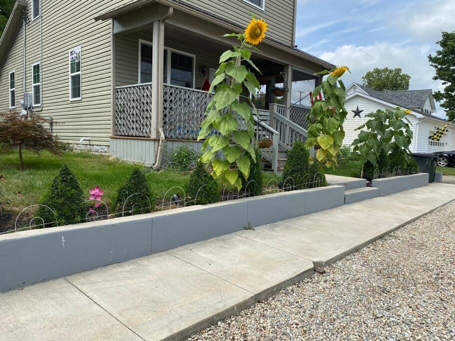 Solar Roof, Eco-Friendly Home Baltimore Dış mekan fotoğraf